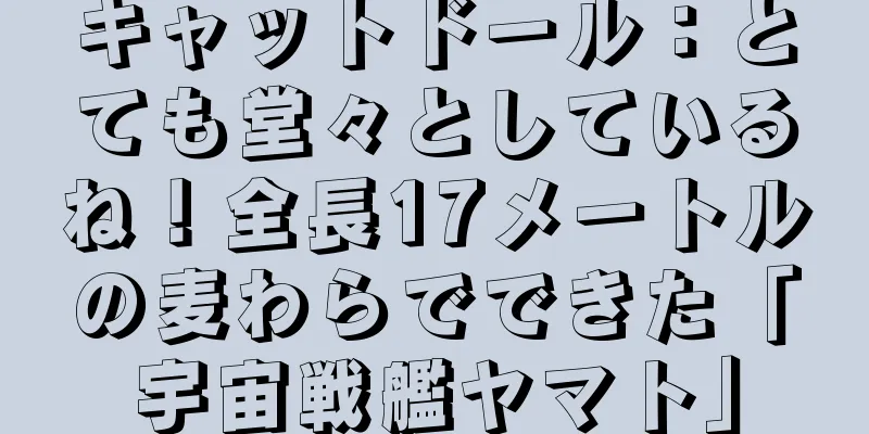 キャットドール：とても堂々としているね！全長17メートルの麦わらでできた「宇宙戦艦ヤマト」