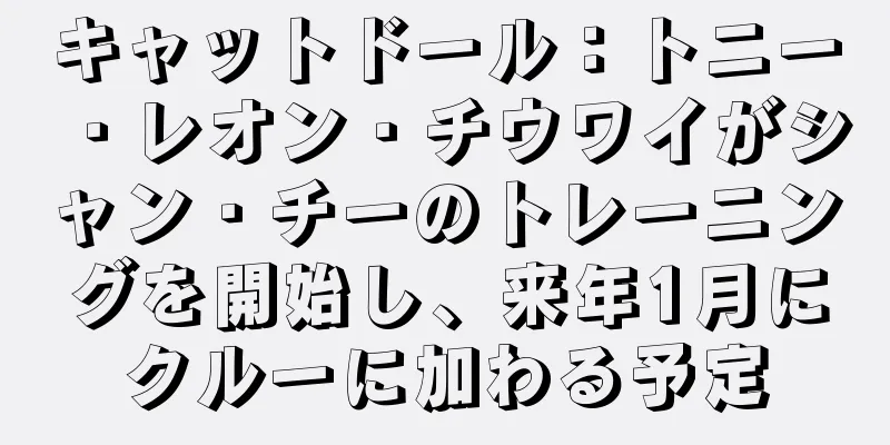 キャットドール：トニー・レオン・チウワイがシャン・チーのトレーニングを開始し、来年1月にクルーに加わる予定
