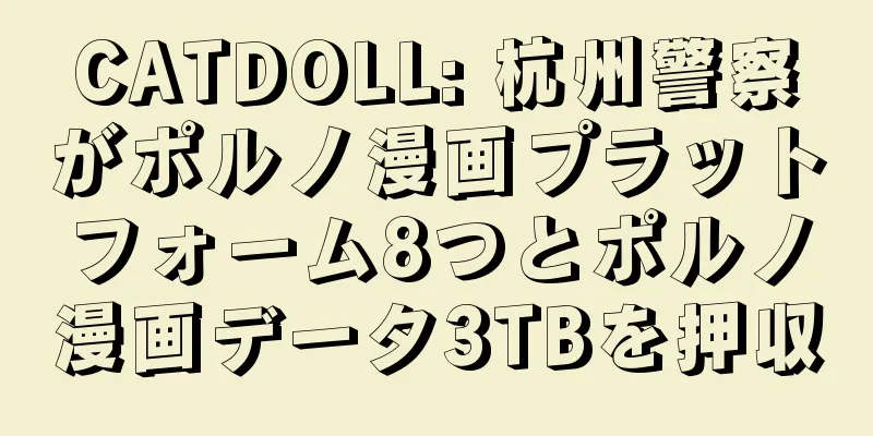 CATDOLL: 杭州警察がポルノ漫画プラットフォーム8つとポルノ漫画データ3TBを押収