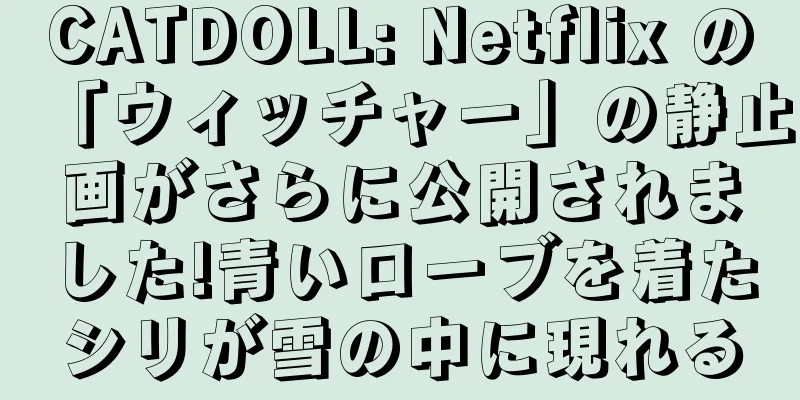 CATDOLL: Netflix の「ウィッチャー」の静止画がさらに公開されました!青いローブを着たシリが雪の中に現れる