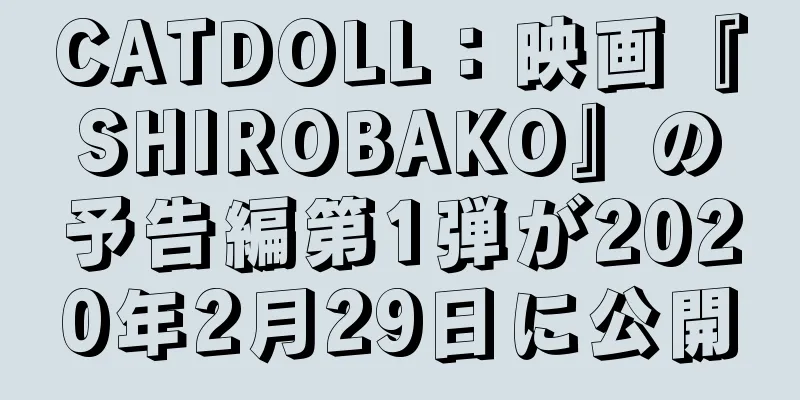 CATDOLL：映画『SHIROBAKO』の予告編第1弾が2020年2月29日に公開
