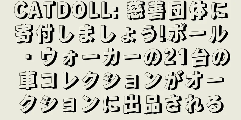 CATDOLL: 慈善団体に寄付しましょう!ポール・ウォーカーの21台の車コレクションがオークションに出品される