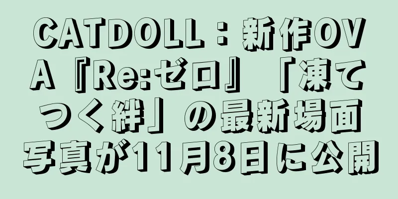 CATDOLL：新作OVA『Re:ゼロ』「凍てつく絆」の最新場面写真が11月8日に公開