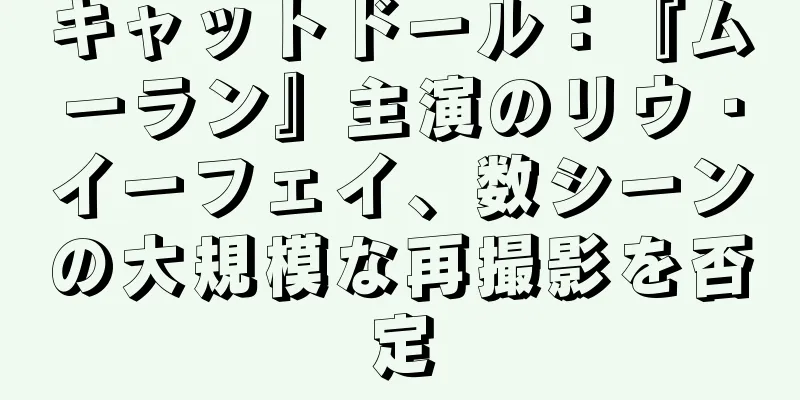 キャットドール：『ムーラン』主演のリウ・イーフェイ、数シーンの大規模な再撮影を否定