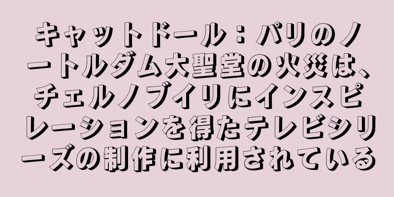 キャットドール：パリのノートルダム大聖堂の火災は、チェルノブイリにインスピレーションを得たテレビシリーズの制作に利用されている