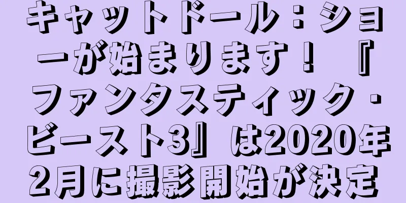 キャットドール：ショーが始まります！ 『ファンタスティック・ビースト3』は2020年2月に撮影開始が決定