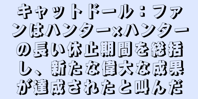 キャットドール：ファンはハンター×ハンターの長い休止期間を総括し、新たな偉大な成果が達成されたと叫んだ