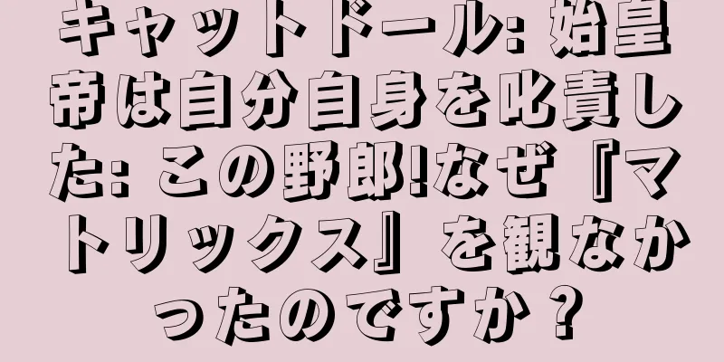 キャットドール: 始皇帝は自分自身を叱責した: この野郎!なぜ『マトリックス』を観なかったのですか？