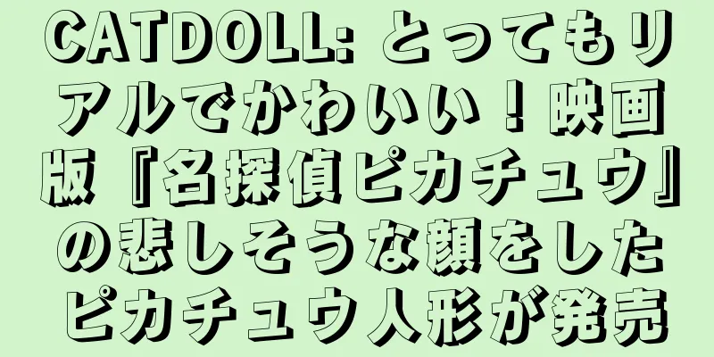CATDOLL: とってもリアルでかわいい！映画版『名探偵ピカチュウ』の悲しそうな顔をしたピカチュウ人形が発売