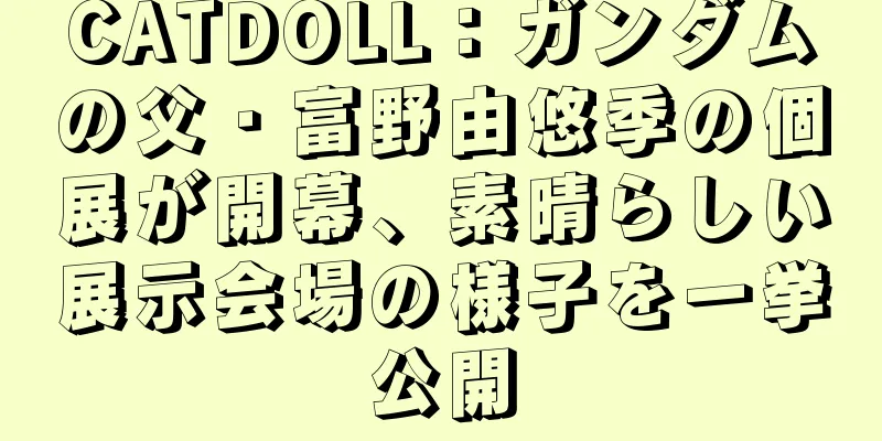 CATDOLL：ガンダムの父・富野由悠季の個展が開幕、素晴らしい展示会場の様子を一挙公開