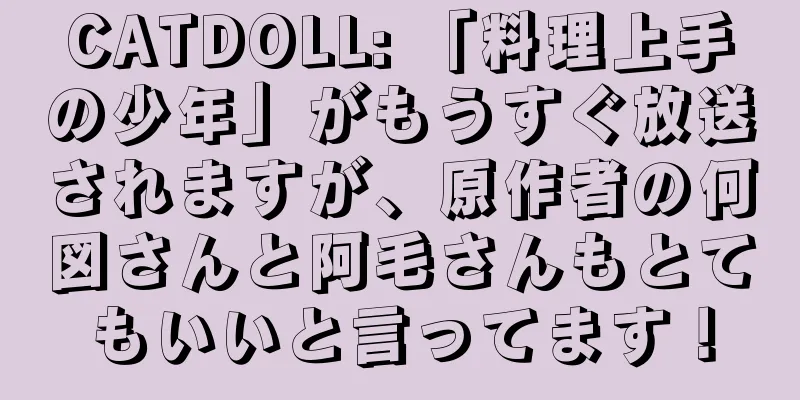 CATDOLL: 「料理上手の少年」がもうすぐ放送されますが、原作者の何図さんと阿毛さんもとてもいいと言ってます！