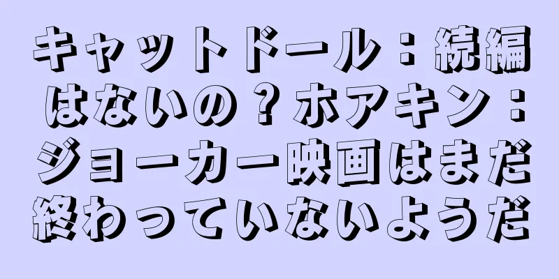 キャットドール：続編はないの？ホアキン：ジョーカー映画はまだ終わっていないようだ