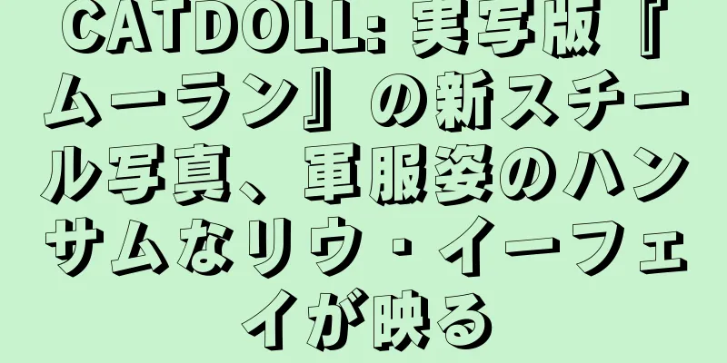 CATDOLL: 実写版『ムーラン』の新スチール写真、軍服姿のハンサムなリウ・イーフェイが映る
