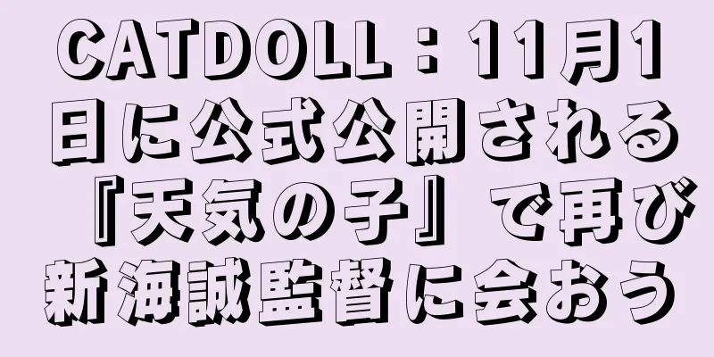 CATDOLL：11月1日に公式公開される『天気の子』で再び新海誠監督に会おう