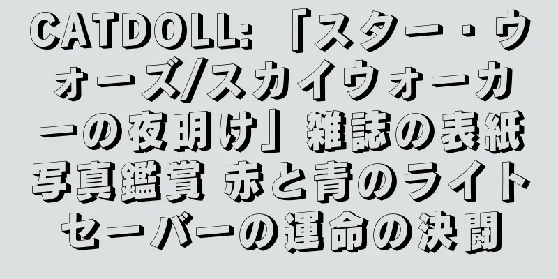 CATDOLL: 「スター・ウォーズ/スカイウォーカーの夜明け」雑誌の表紙写真鑑賞 赤と青のライトセーバーの運命の決闘