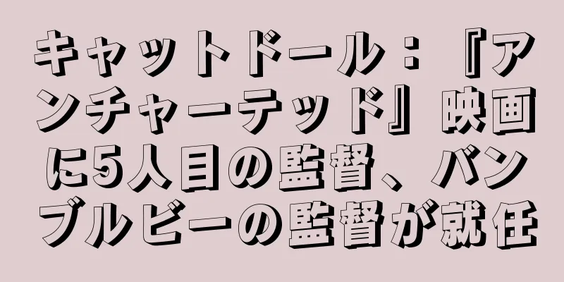 キャットドール：『アンチャーテッド』映画に5人目の監督、バンブルビーの監督が就任