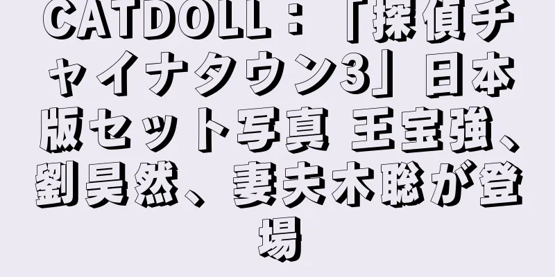CATDOLL：「探偵チャイナタウン3」日本版セット写真 王宝強、劉昊然、妻夫木聡が登場