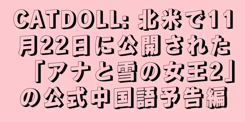 CATDOLL: 北米で11月22日に公開された「アナと雪の女王2」の公式中国語予告編