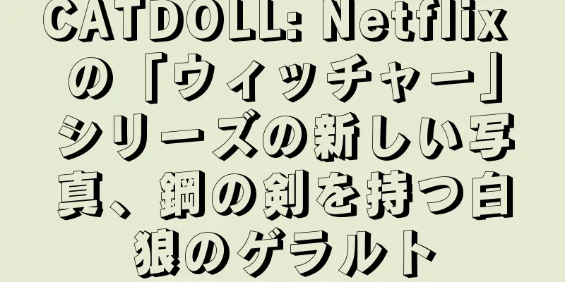 CATDOLL: Netflix の「ウィッチャー」シリーズの新しい写真、鋼の剣を持つ白狼のゲラルト