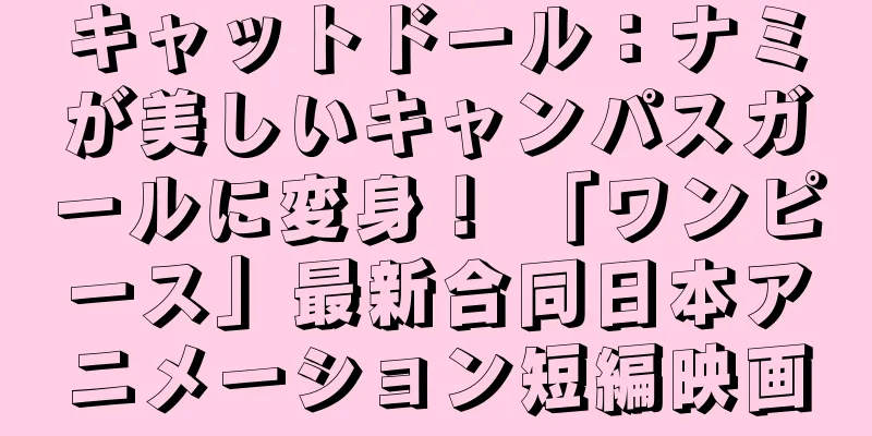 キャットドール：ナミが美しいキャンパスガールに変身！ 「ワンピース」最新合同日本アニメーション短編映画