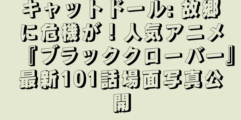 キャットドール: 故郷に危機が！人気アニメ『ブラッククローバー』最新101話場面写真公開
