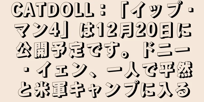 CATDOLL：「イップ・マン4」は12月20日に公開予定です。ドニー・イェン、一人で平然と米軍キャンプに入る