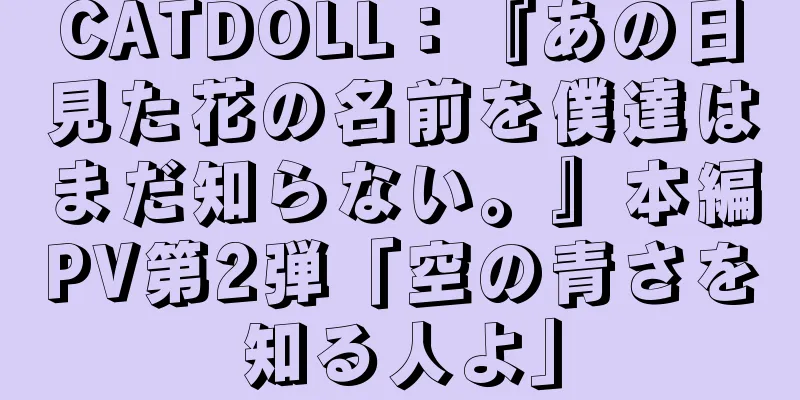 CATDOLL：『あの日見た花の名前を僕達はまだ知らない。』本編PV第2弾「空の青さを知る人よ」