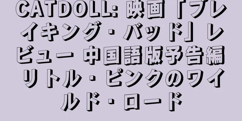 CATDOLL: 映画「ブレイキング・バッド」レビュー 中国語版予告編 リトル・ピンクのワイルド・ロード