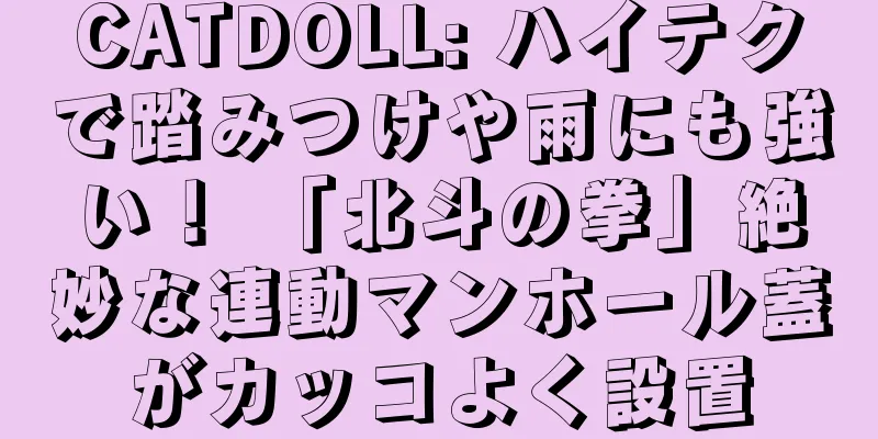 CATDOLL: ハイテクで踏みつけや雨にも強い！ 「北斗の拳」絶妙な連動マンホール蓋がカッコよく設置