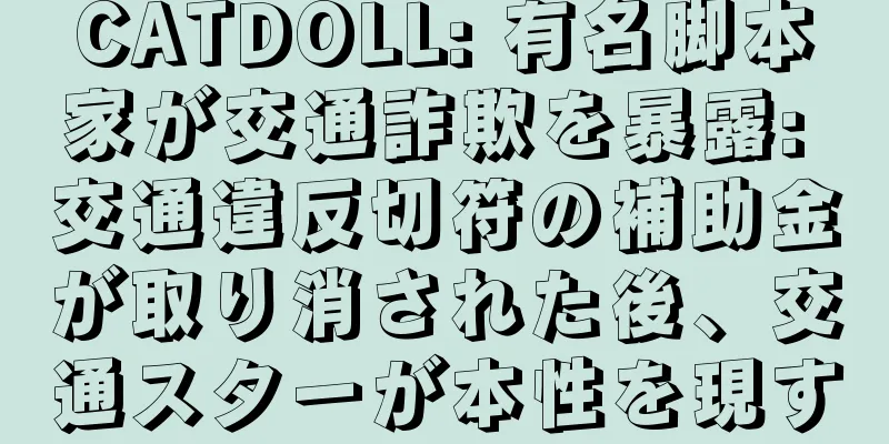 CATDOLL: 有名脚本家が交通詐欺を暴露: 交通違反切符の補助金が取り消された後、交通スターが本性を現す