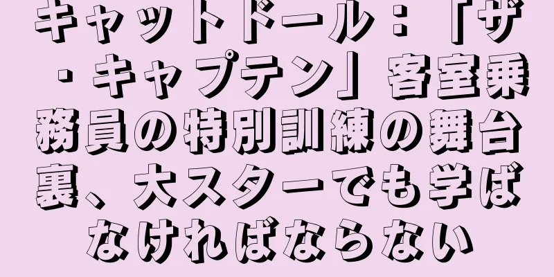 キャットドール：「ザ・キャプテン」客室乗務員の特別訓練の舞台裏、大スターでも学ばなければならない