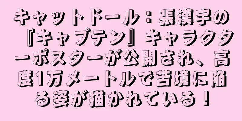 キャットドール：張漢宇の『キャプテン』キャラクターポスターが公開され、高度1万メートルで苦境に陥る姿が描かれている！
