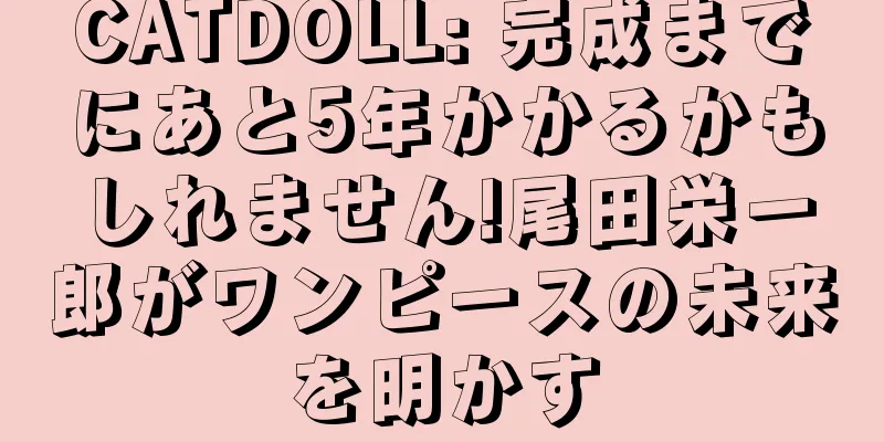 CATDOLL: 完成までにあと5年かかるかもしれません!尾田栄一郎がワンピースの未来を明かす