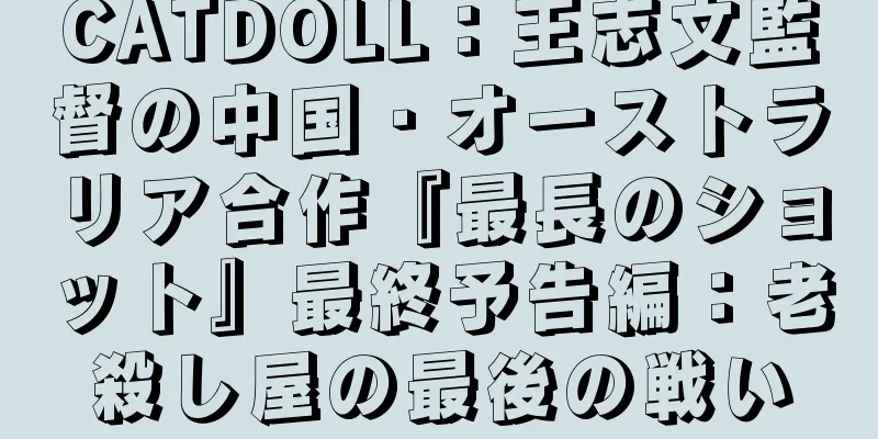 CATDOLL：王志文監督の中国・オーストラリア合作『最長のショット』最終予告編：老殺し屋の最後の戦い