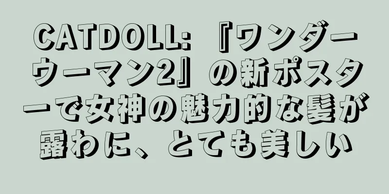 CATDOLL: 『ワンダーウーマン2』の新ポスターで女神の魅力的な髪が露わに、とても美しい