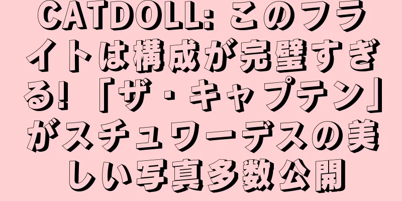 CATDOLL: このフライトは構成が完璧すぎる! 「ザ・キャプテン」がスチュワーデスの美しい写真多数公開