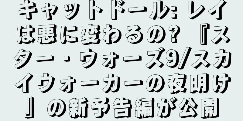 キャットドール: レイは悪に変わるの? 『スター・ウォーズ9/スカイウォーカーの夜明け』の新予告編が公開
