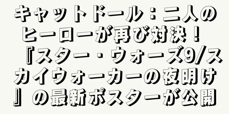 キャットドール：二人のヒーローが再び対決！ 『スター・ウォーズ9/スカイウォーカーの夜明け』の最新ポスターが公開