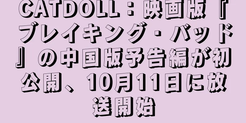 CATDOLL：映画版『ブレイキング・バッド』の中国版予告編が初公開、10月11日に放送開始