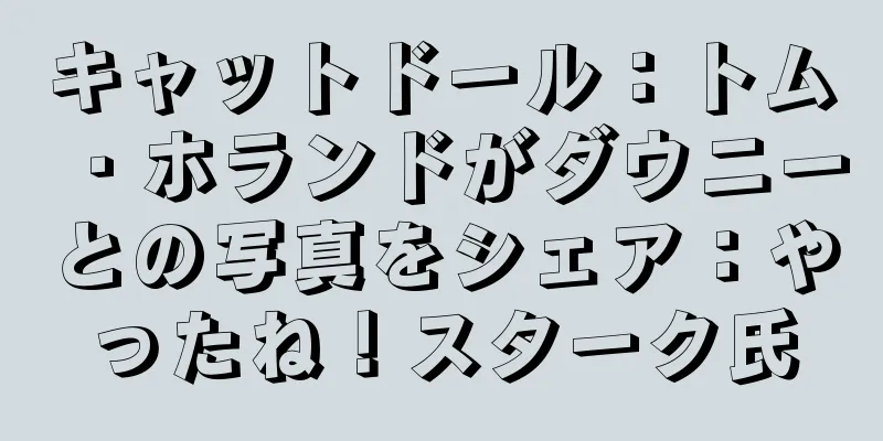 キャットドール：トム・ホランドがダウニーとの写真をシェア：やったね！スターク氏