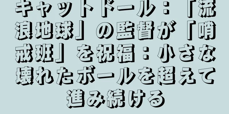キャットドール：「流浪地球」の監督が「哨戒班」を祝福：小さな壊れたボールを超えて進み続ける