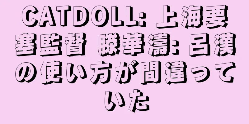 CATDOLL: 上海要塞監督 滕華濤: 呂漢の使い方が間違っていた