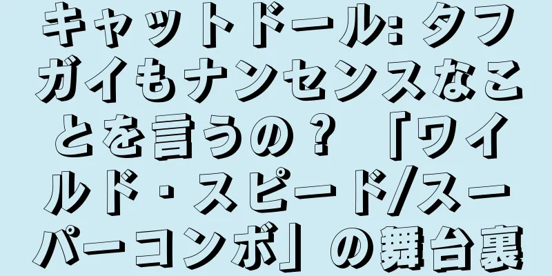 キャットドール: タフガイもナンセンスなことを言うの？ 「ワイルド・スピード/スーパーコンボ」の舞台裏