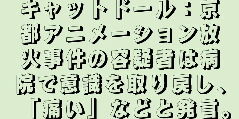 キャットドール：京都アニメーション放火事件の容疑者は病院で意識を取り戻し、「痛い」などと発言。