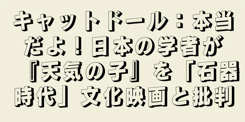 キャットドール：本当だよ！日本の学者が『天気の子』を「石器時代」文化映画と批判