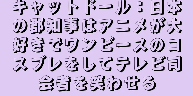 キャットドール：日本の郡知事はアニメが大好きでワンピースのコスプレをしてテレビ司会者を笑わせる