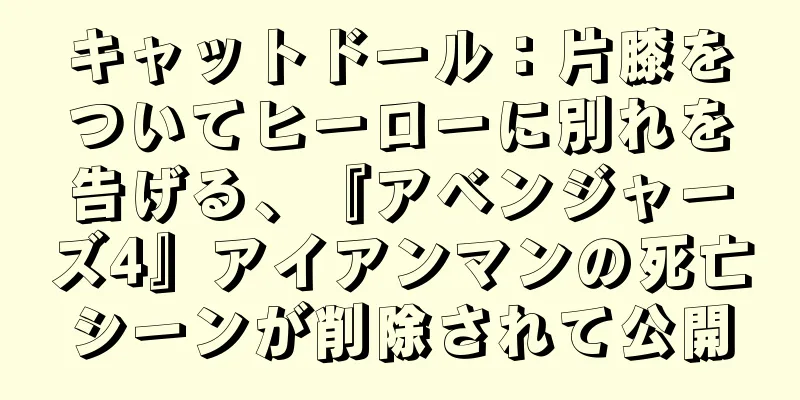 キャットドール：片膝をついてヒーローに別れを告げる、『アベンジャーズ4』アイアンマンの死亡シーンが削除されて公開