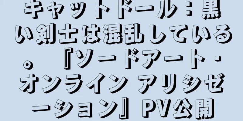 キャットドール：黒い剣士は混乱している。 『ソードアート・オンライン アリシゼーション』PV公開