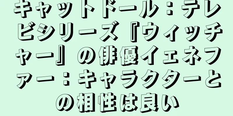 キャットドール：テレビシリーズ『ウィッチャー』の俳優イェネファー：キャラクターとの相性は良い