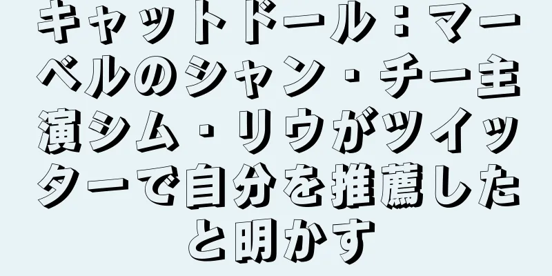 キャットドール：マーベルのシャン・チー主演シム・リウがツイッターで自分を推薦したと明かす